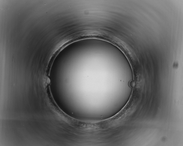 X0000102780786200808251115