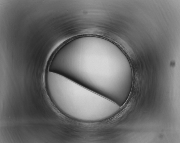 X0000102780788200808251115