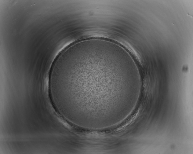 X0000102780790200808251115