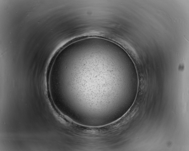 X0000102780792200808251114