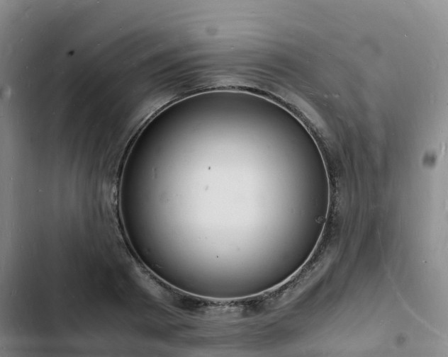 X0000102780793200808251114