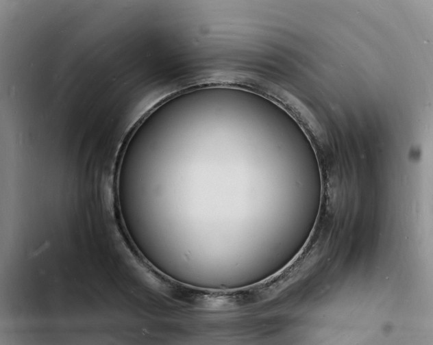 X0000102780794200808251114