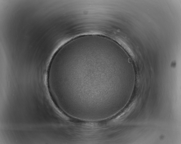 X0000102780797200808251114