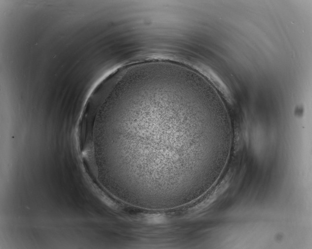 X0000102780798200808251114