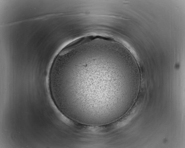 X0000102780803200808251114