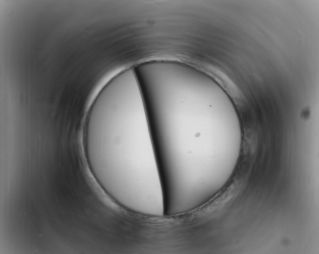 X0000102780804200808251114