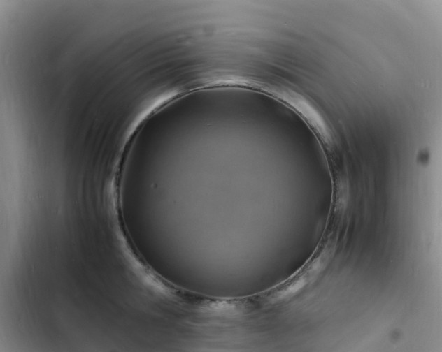 X0000102780806200808251114