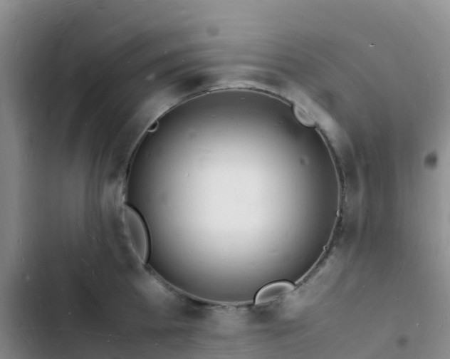 X0000102780809200808251114