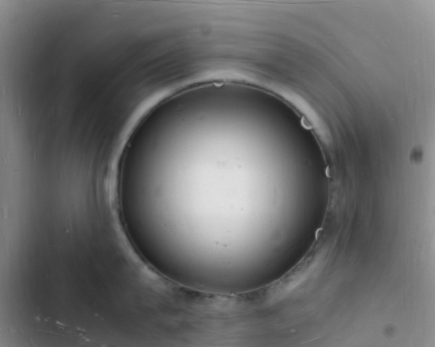 X0000102780815200808251114