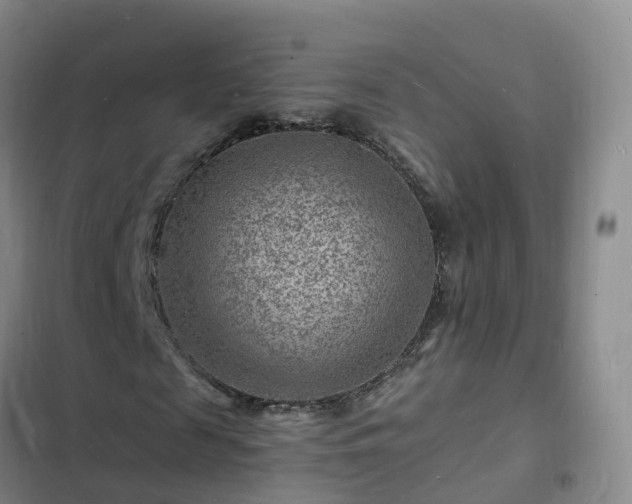 X0000102780817200808251113