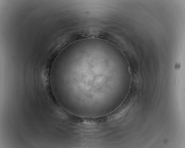 X0000102780818200808251113