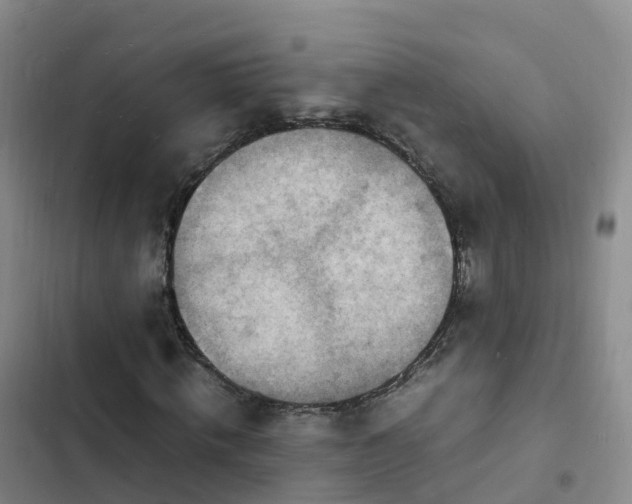 X0000102780820200808251114