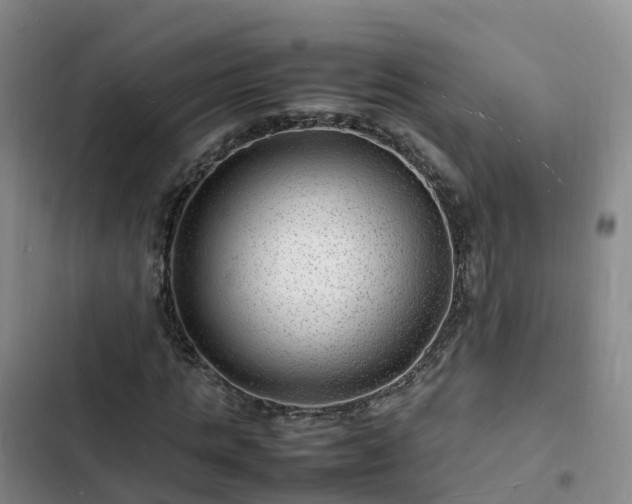 X0000102780821200808251114