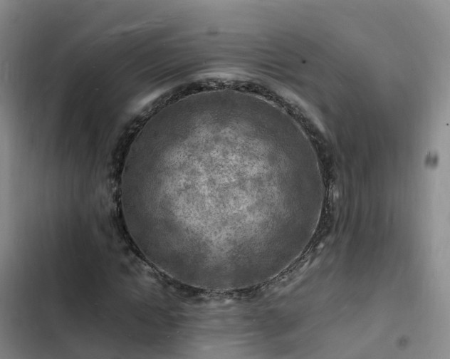 X0000102780822200808251114