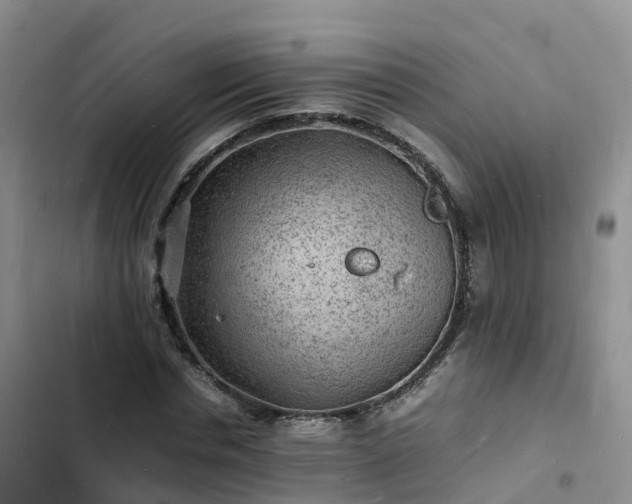 X0000102780826200808251114