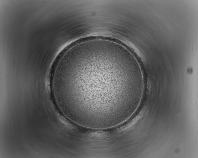 X0000102780830200808251114