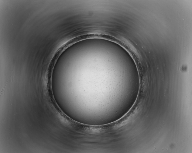 X0000102780831200808251114