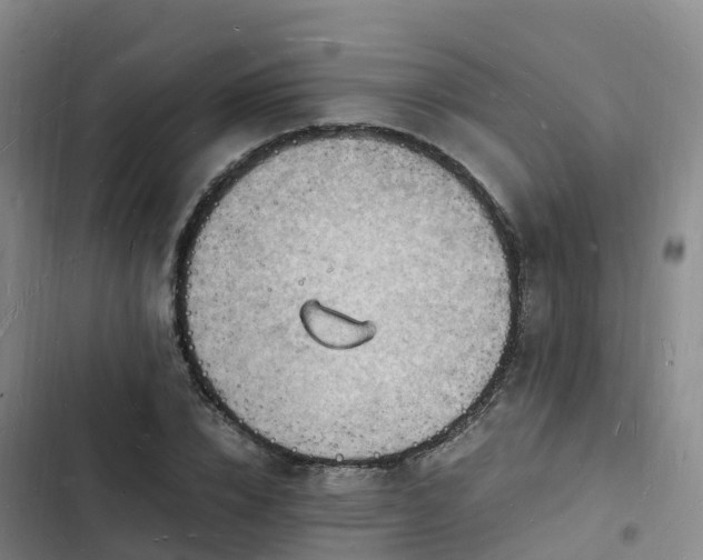 X0000102780832200808251114