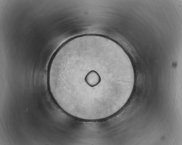 X0000102780836200808251114