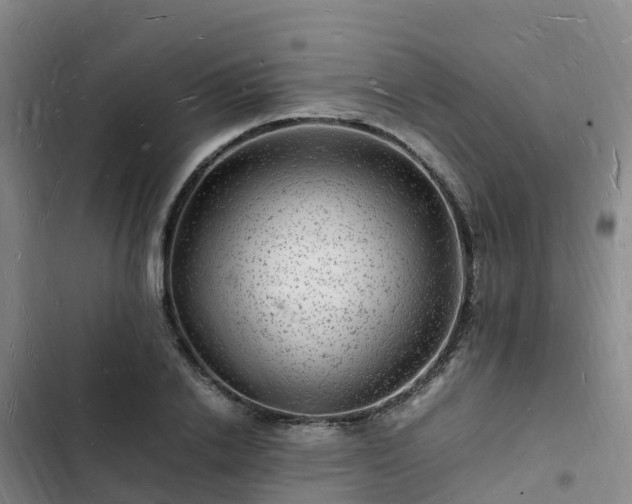 X0000102780838200808251114