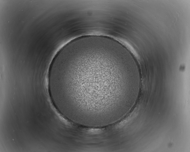 X0000102780839200808251114