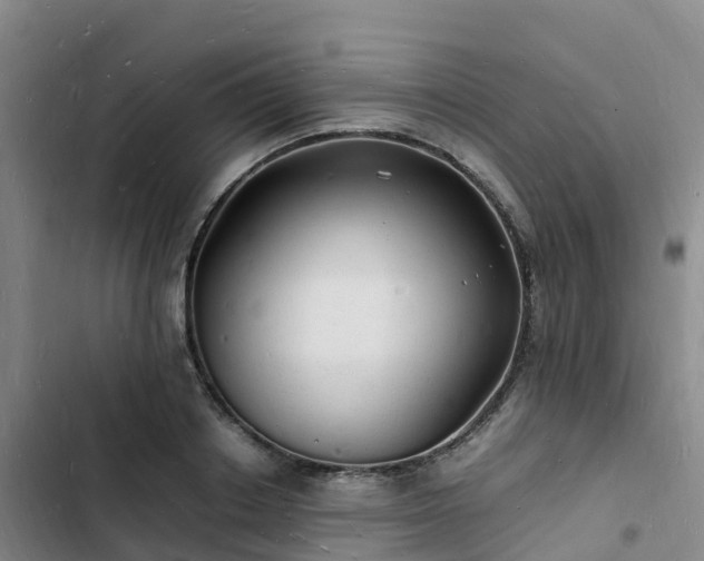 X0000102780842200808251114