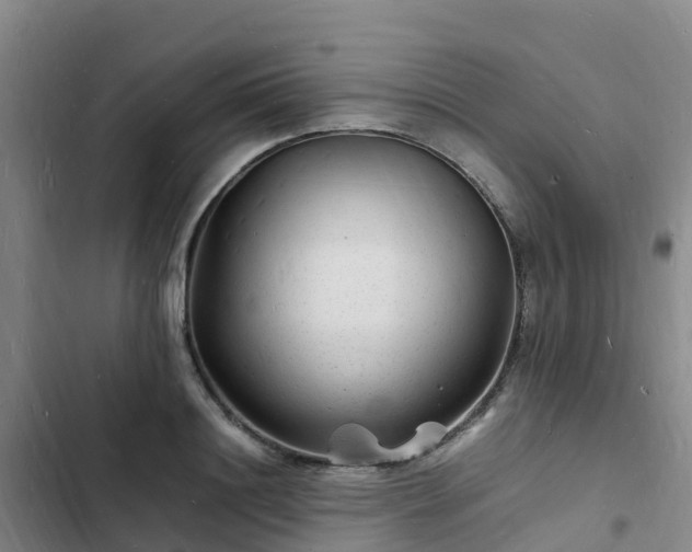 X0000102780844200808251114