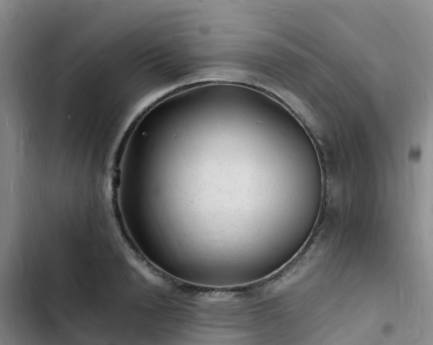 X0000102780846200808251114