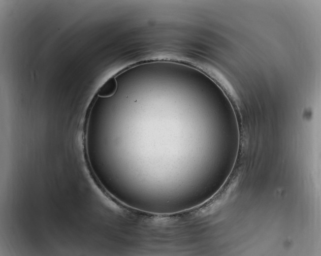 X0000102780847200808251114