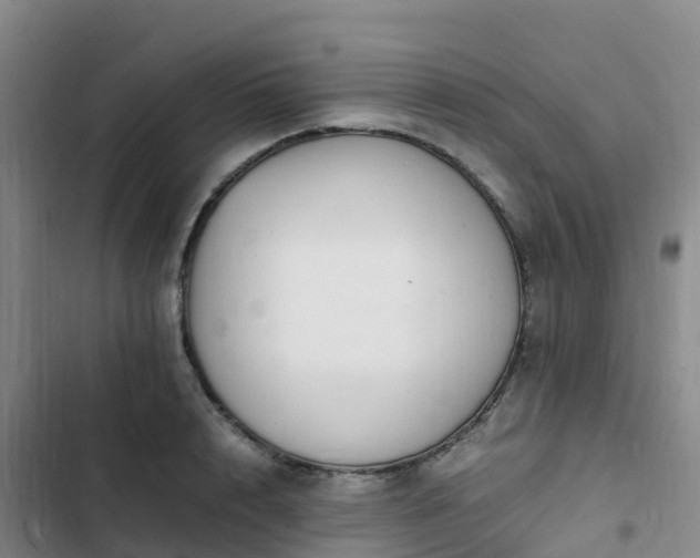 X0000102780848200808251114