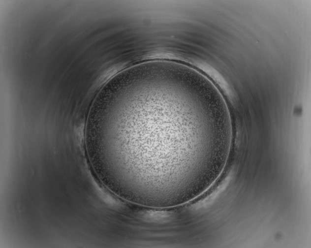 X0000102780849200808251114