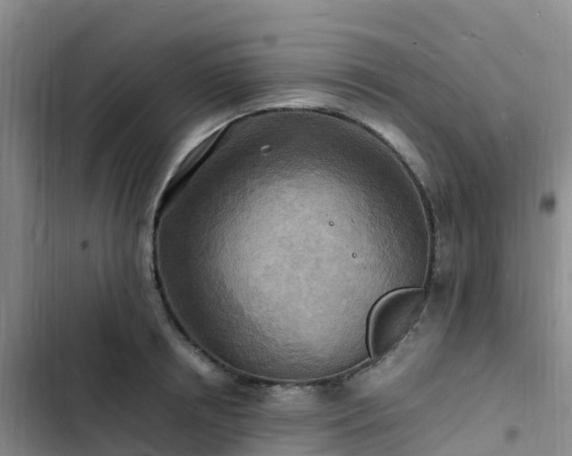 X0000102780850200808251114