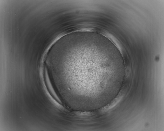 X0000102780851200808251114