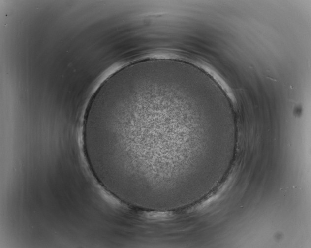 X0000102780853200808251114