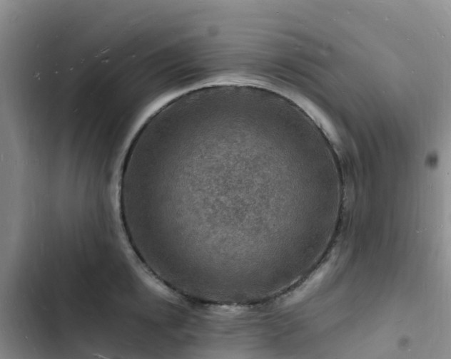 X0000102780854200808251114