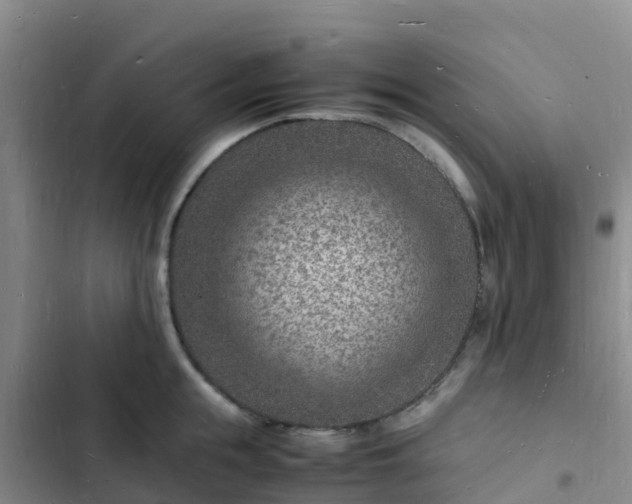 X0000102780855200808251114