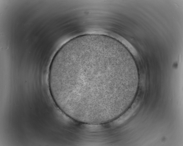 X0000102780856200808251114