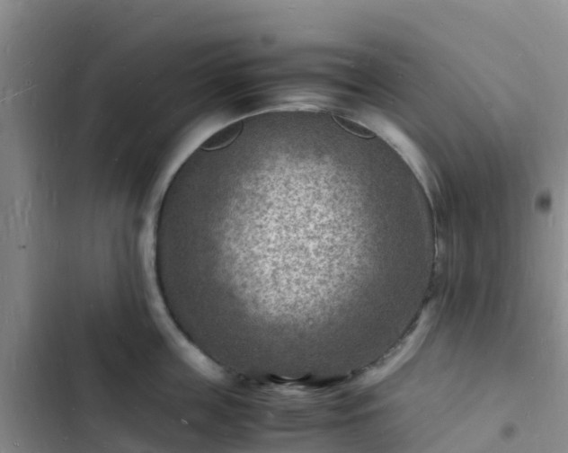 X0000102780859200808251114