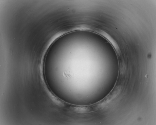 X0000102780861200808251114