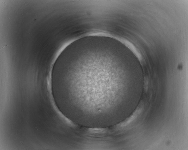 X0000102780863200808251114