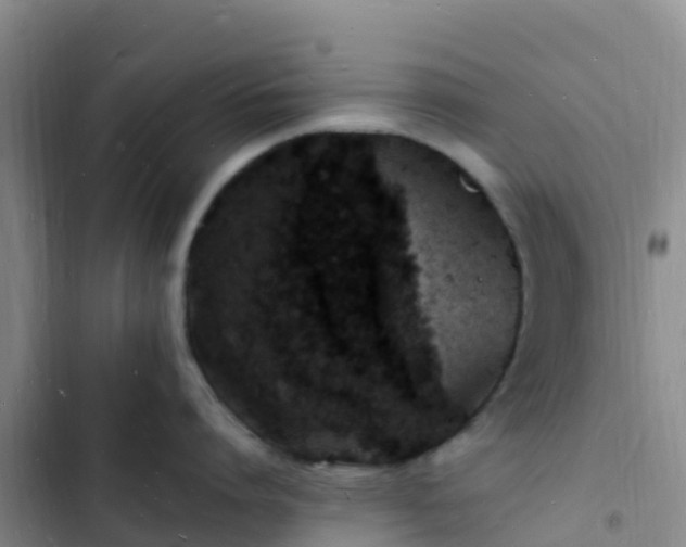 X0000102780864200808251114