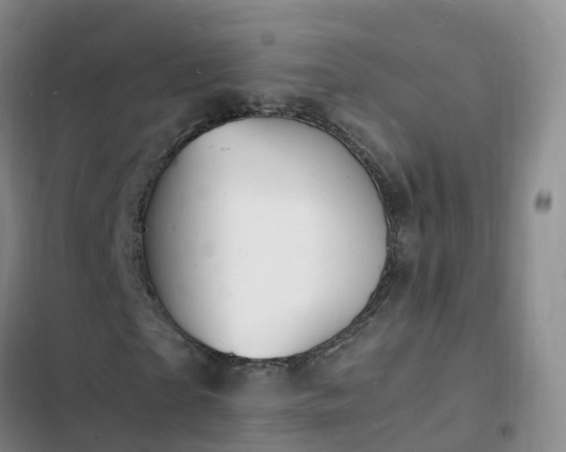 X0000102780865200808251113