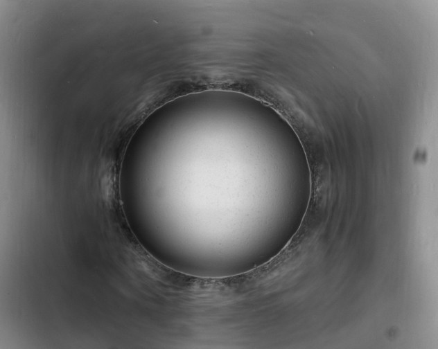 X0000102780866200808251113