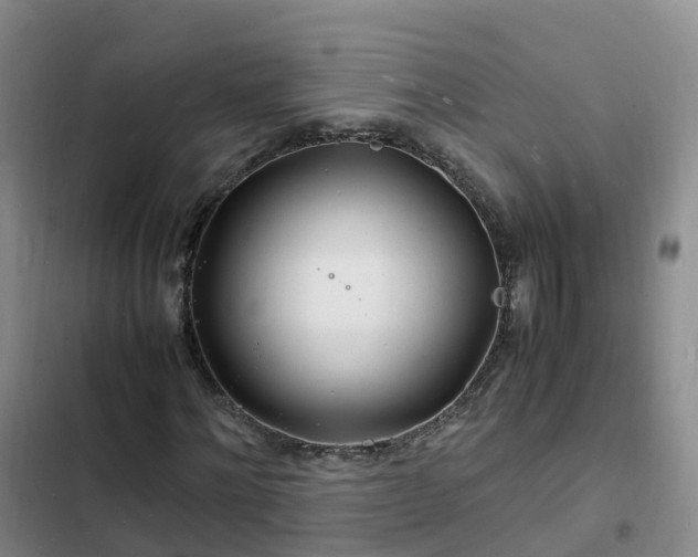 X0000102780868200808251113