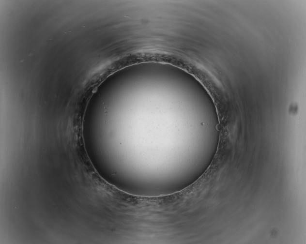 X0000102780870200808251113