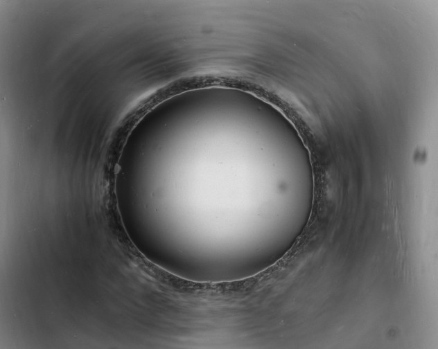 X0000102780872200808251113