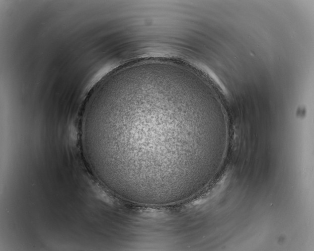 X0000102780874200808251113