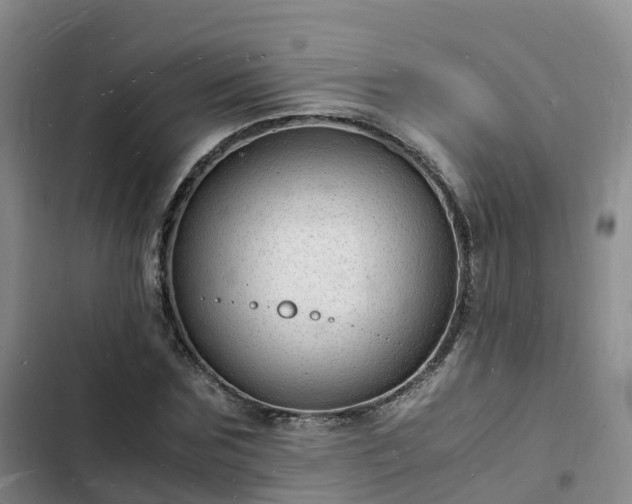 X0000102780875200808251113