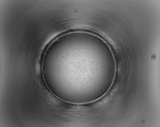 X0000102780877200808251113