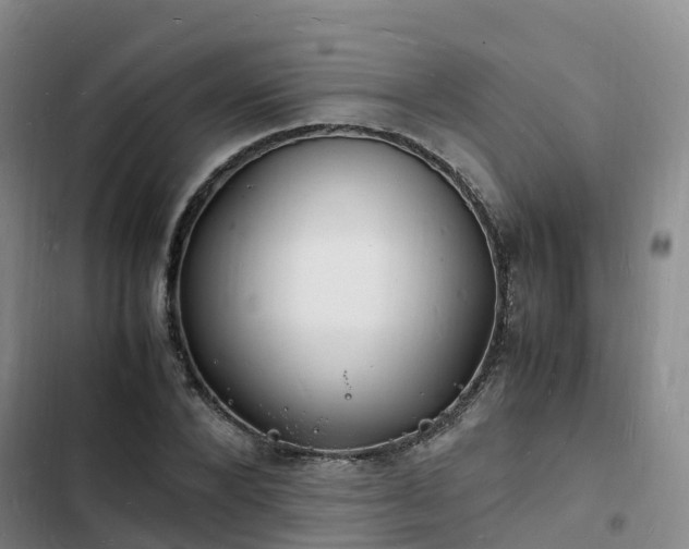 X0000102780880200808251113